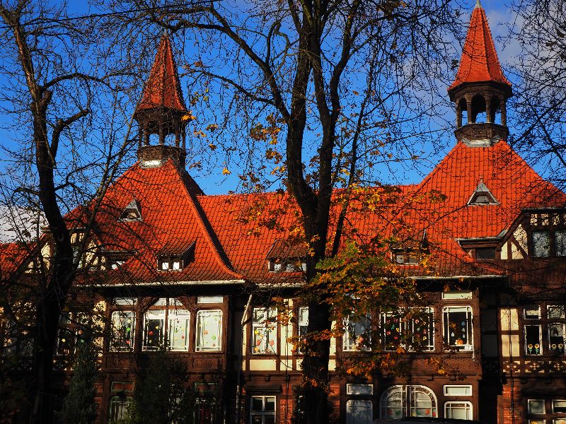 Autorka: Iga Wiśniewska